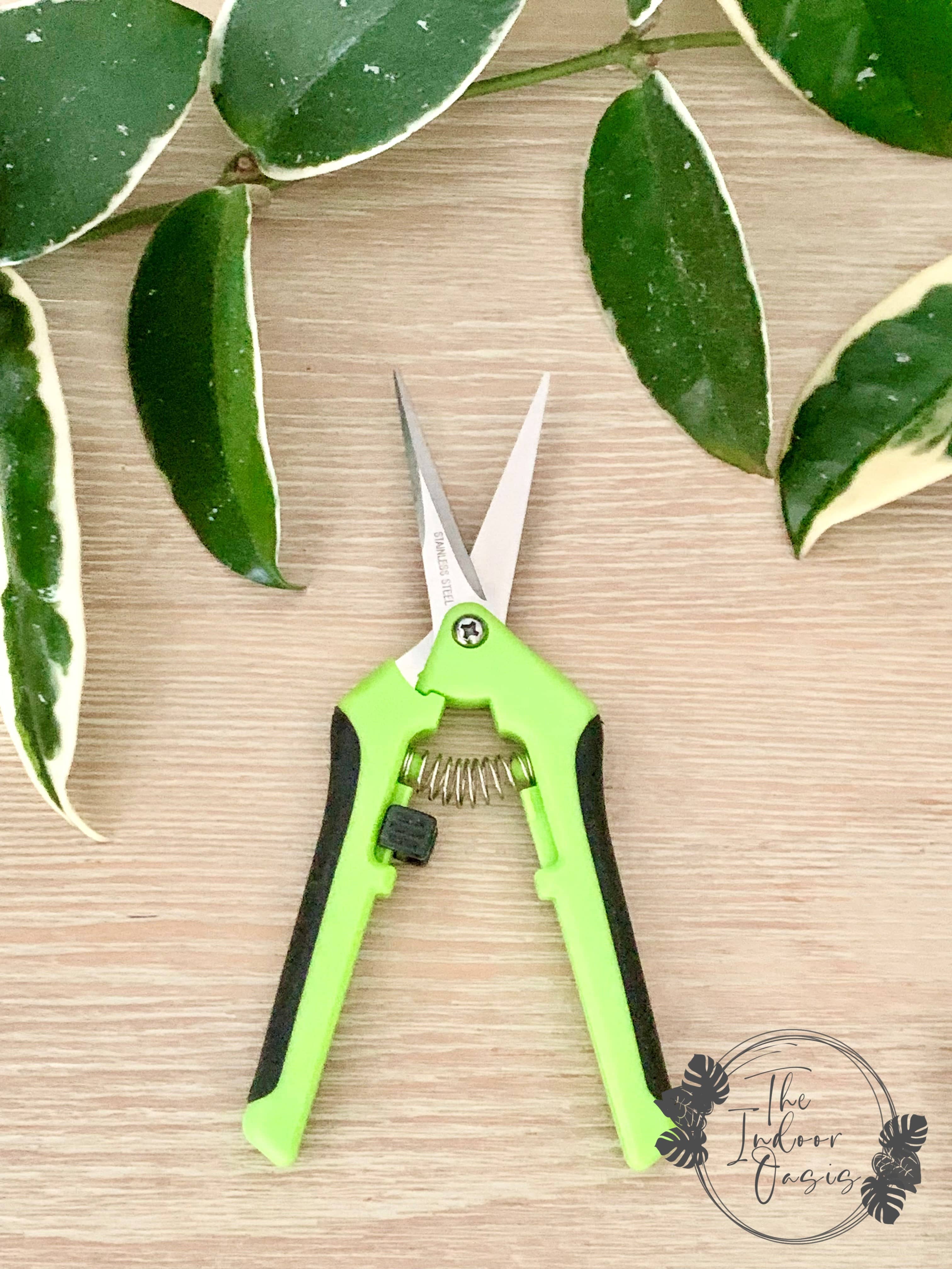 Plant Propagation Snips Shears Open detail The Indoor Oasis NZ