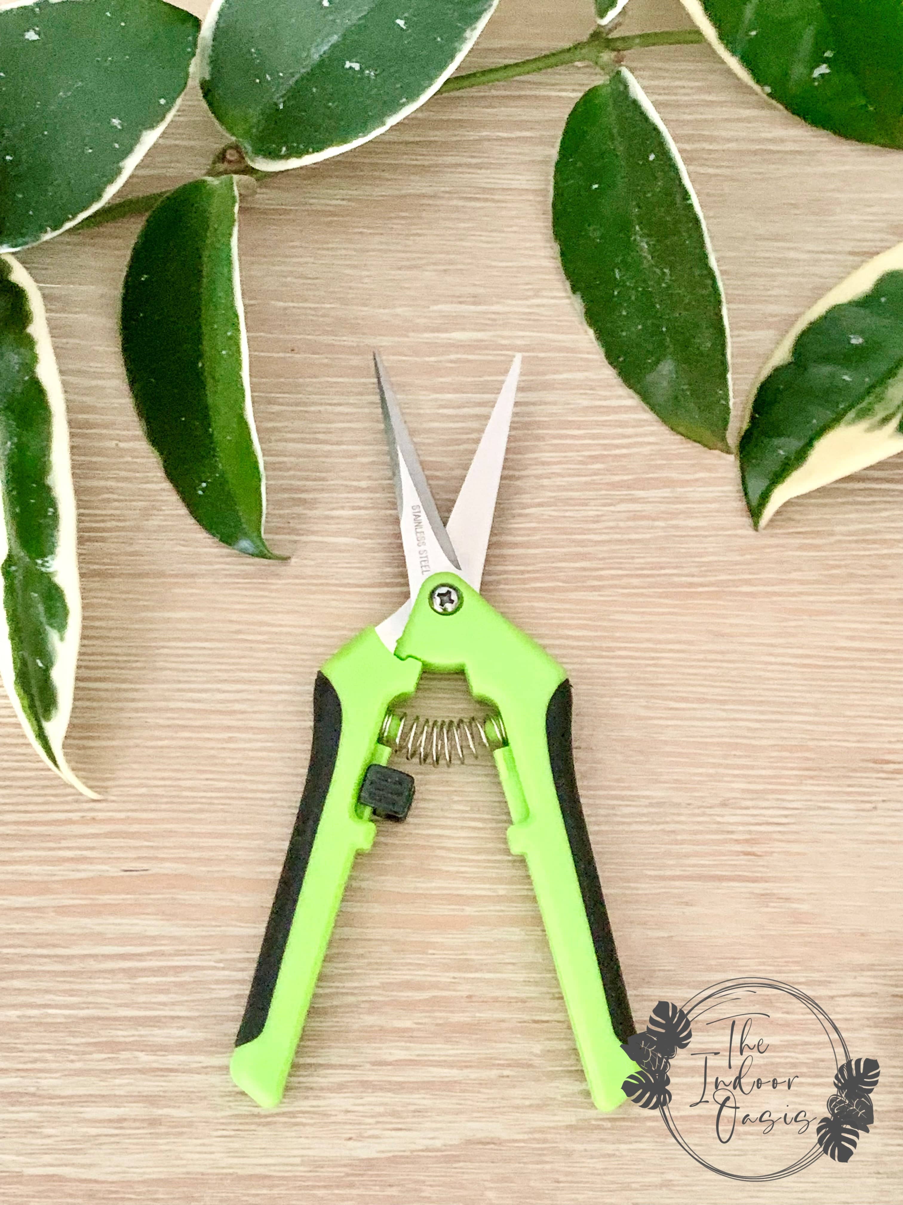 Plant Propagation Snips – The Indoor Oasis NZ