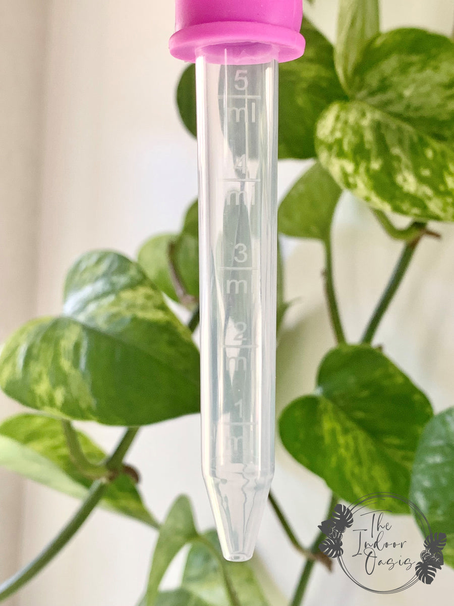 Silicone Dropper Pipette 5ml The Indoor Oasis NZ
