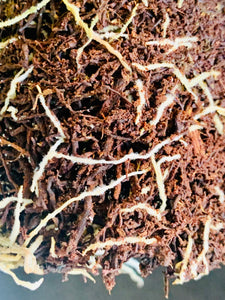 Fernwood Tree Fern Fibre Substrate 5L Bag